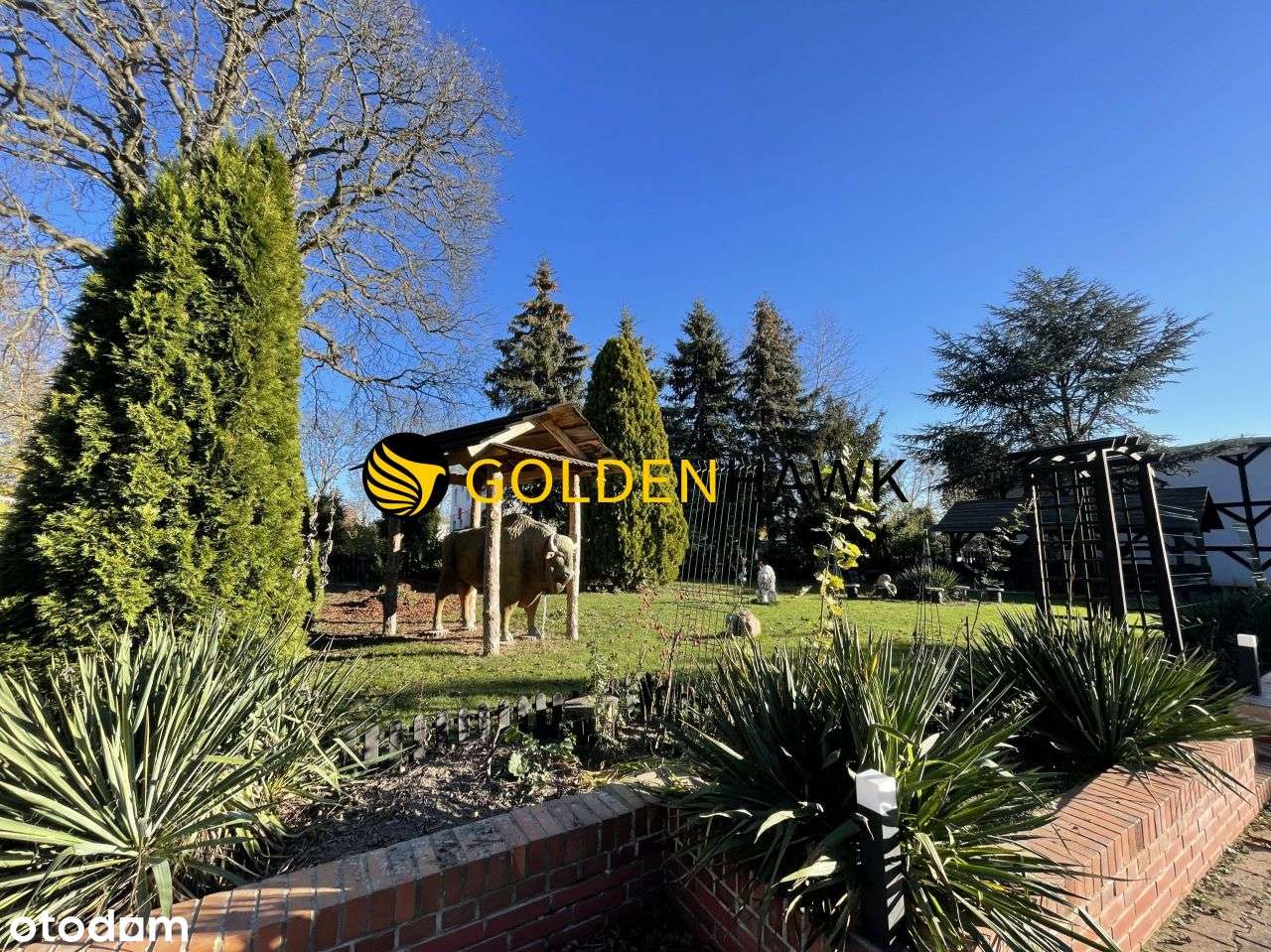 Działka 11 600m2!Dom z dużym ogrodem! - Pełny obrazek: 2/10