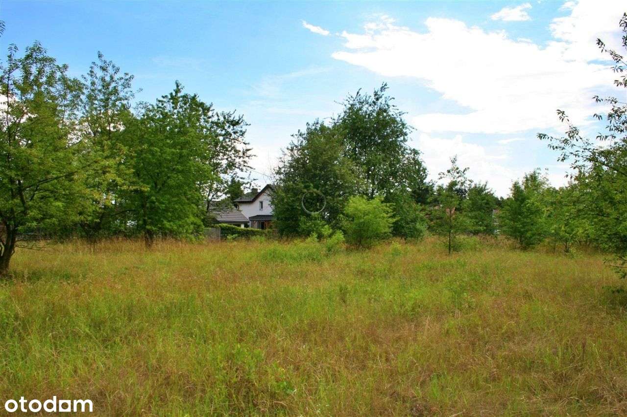 Działka budowlana wśród lasów – Grabówka 18-36 ar - Pełny obrazek: 4/6