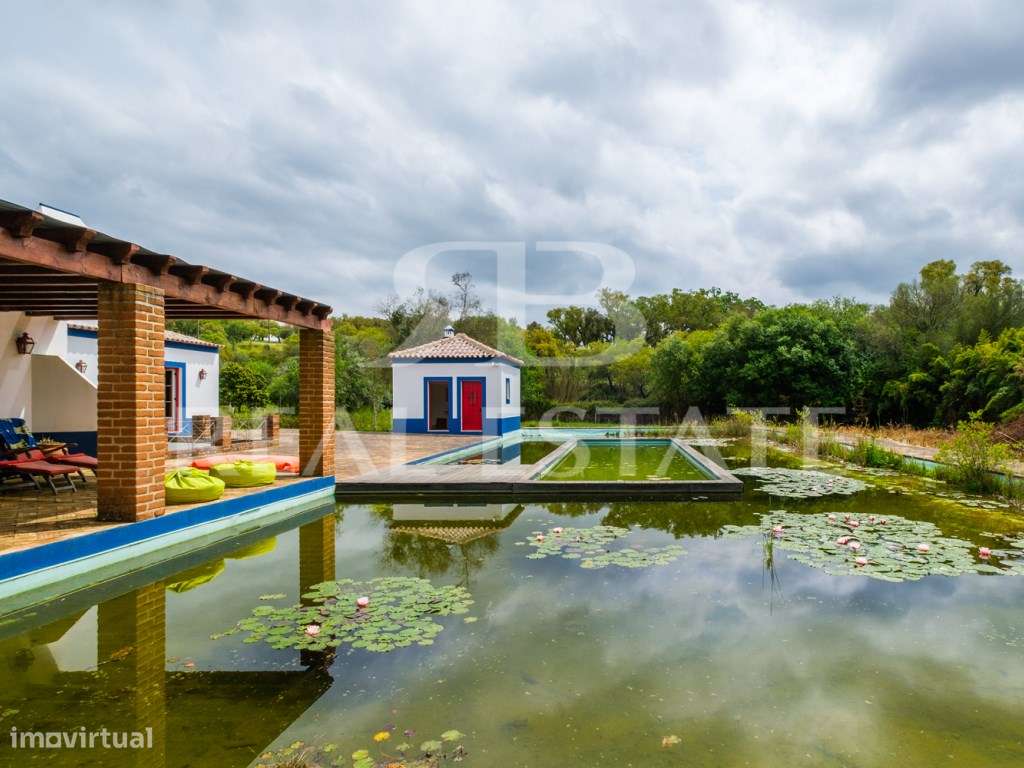 Propriedade no Alentejo | Montemor-o-Novo | A uma hora de Lisboa-28