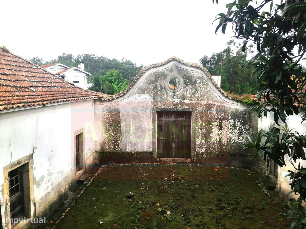 QUINTA - GIÃO-24
