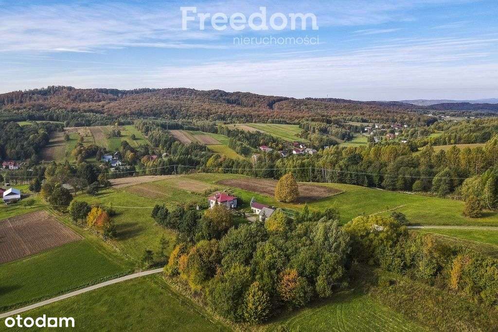 Działka 81 ar z Wz w Grabówce k. Brzozowa - Pełny obrazek: 5/10