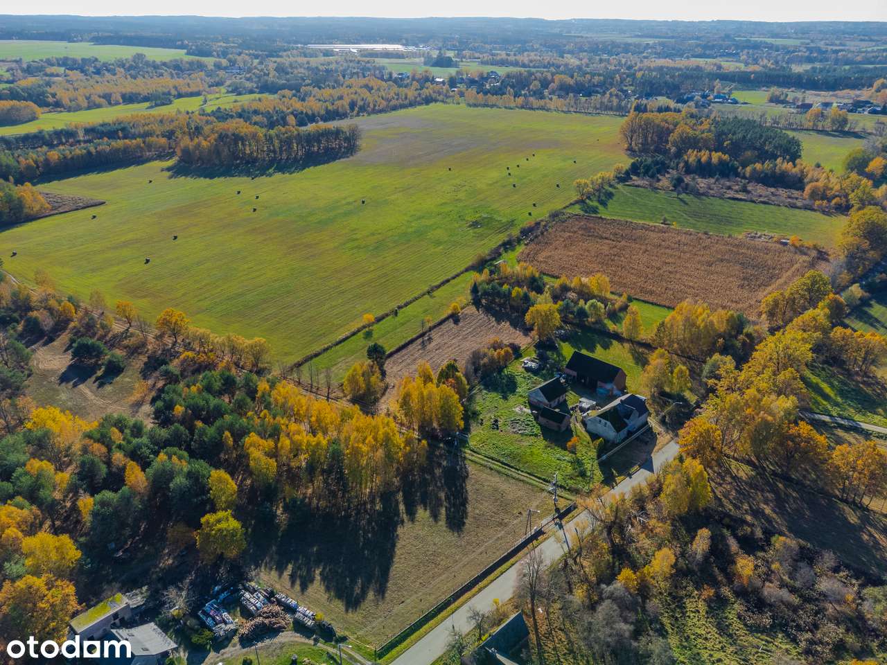 Przy lesie | 40 arów | budowlana | pod Twardogórą-5