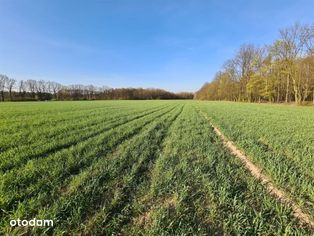 Działka usługowa w gm. Pilchowice, przy przy DK78