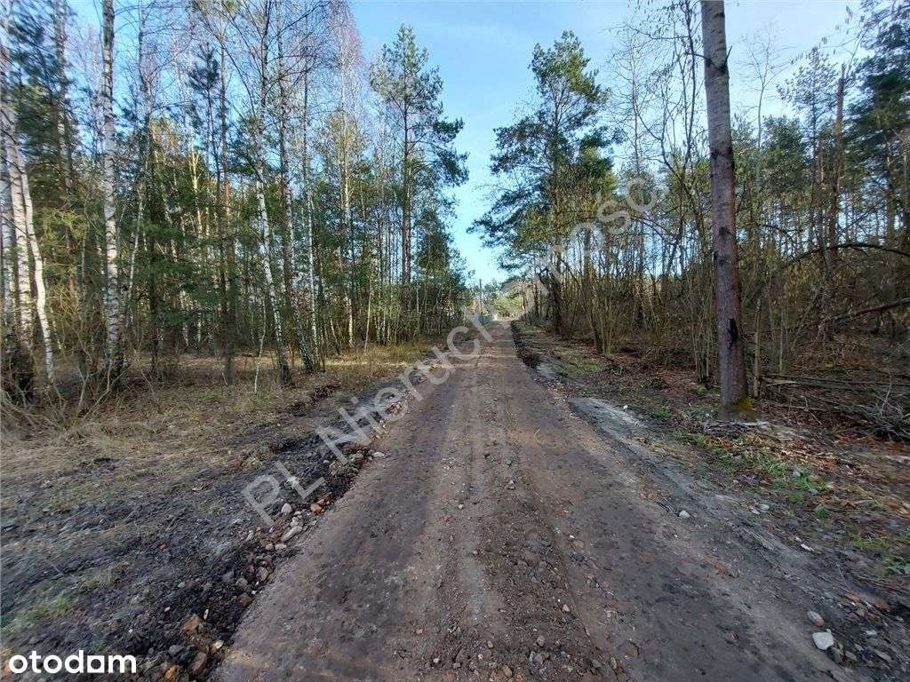 Ostatnia - Piękna Działka W Dobrej Cenie-9