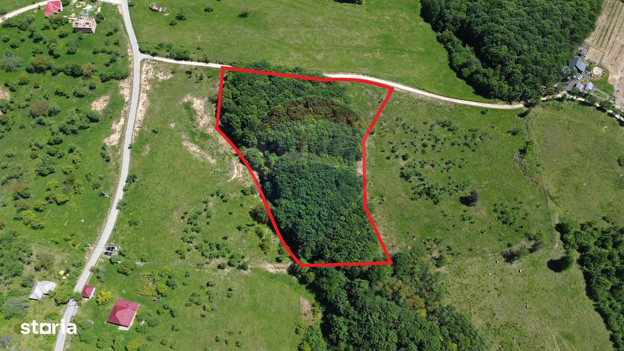 DE VÂNZARE – Teren intravilan 3 hectare, in Codrul Butesii, Maramures - Imagine principală: 2/5