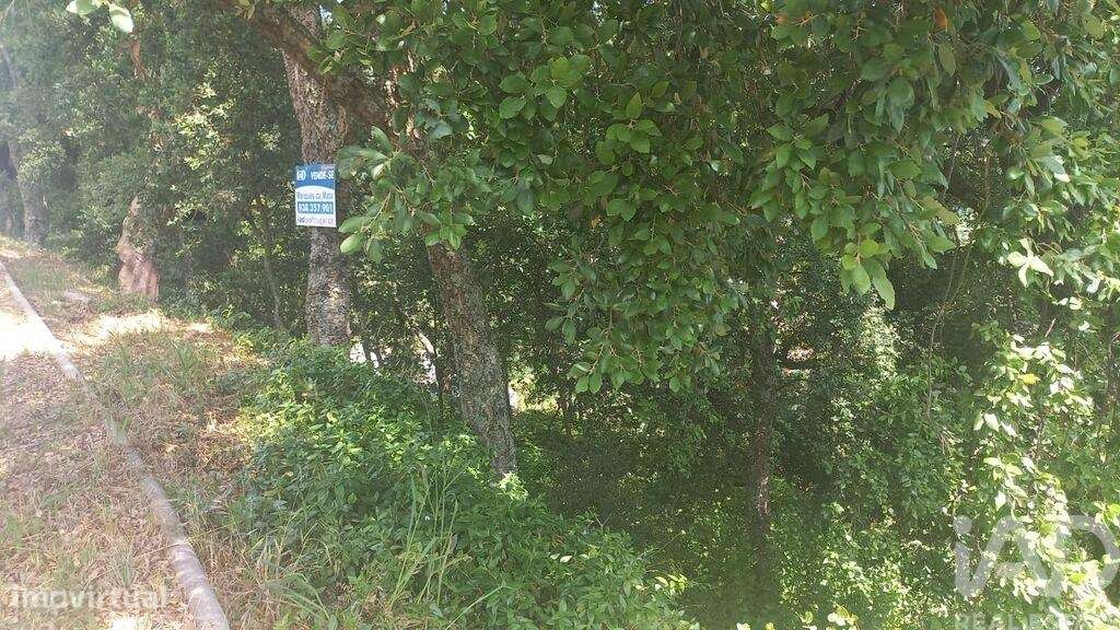 Terreno em Frende de 1000,00 m2 - Grande imagem: 5/14