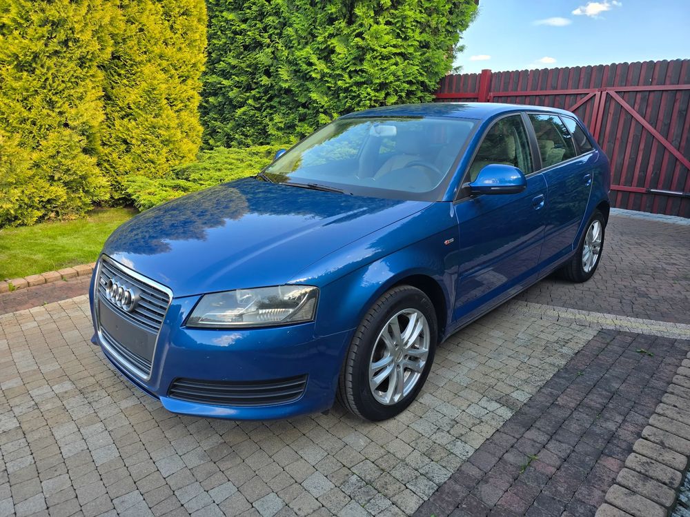 Audi A3 8P 1.9 TDI Attraction 2008