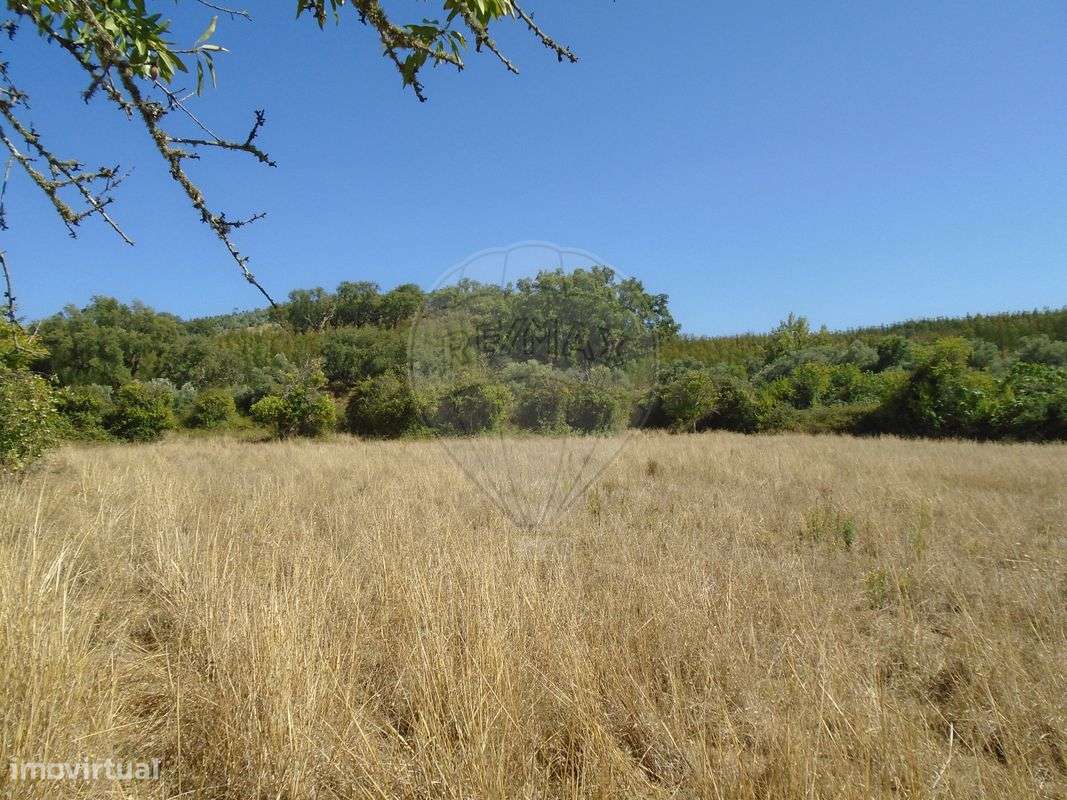 Quinta T5 para venda-14