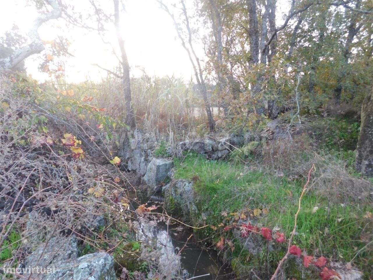 Quinta T1 / Fundão, Orca - Grande imagem: 4/11