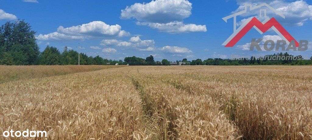 Działka inwestycyjna-7