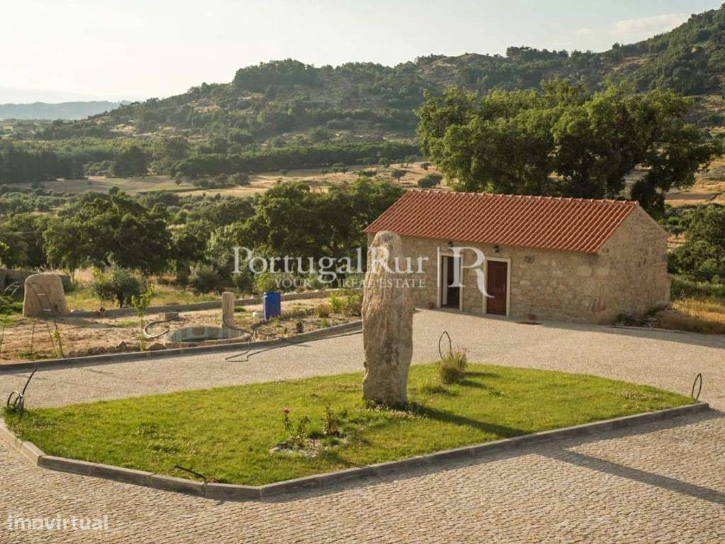 Quinta vocacionada para turismo rural com cinco moradias - Grande imagem: 3/37