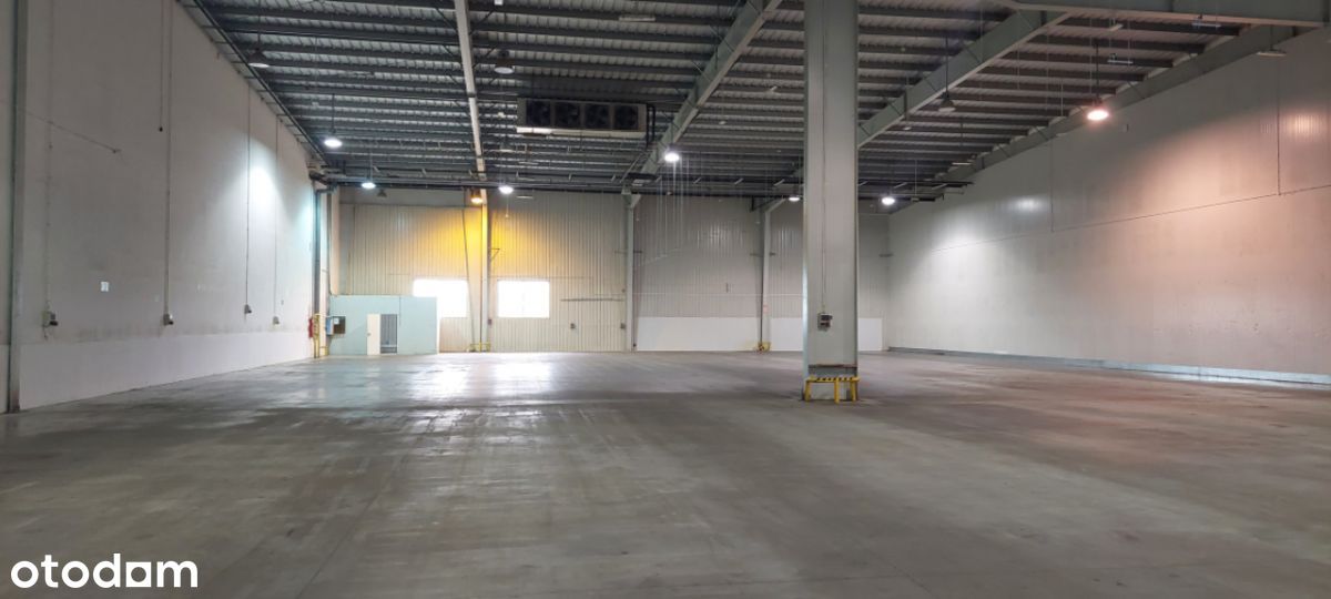 Do wynajęcia magazyn 2000m2 w Broniszach