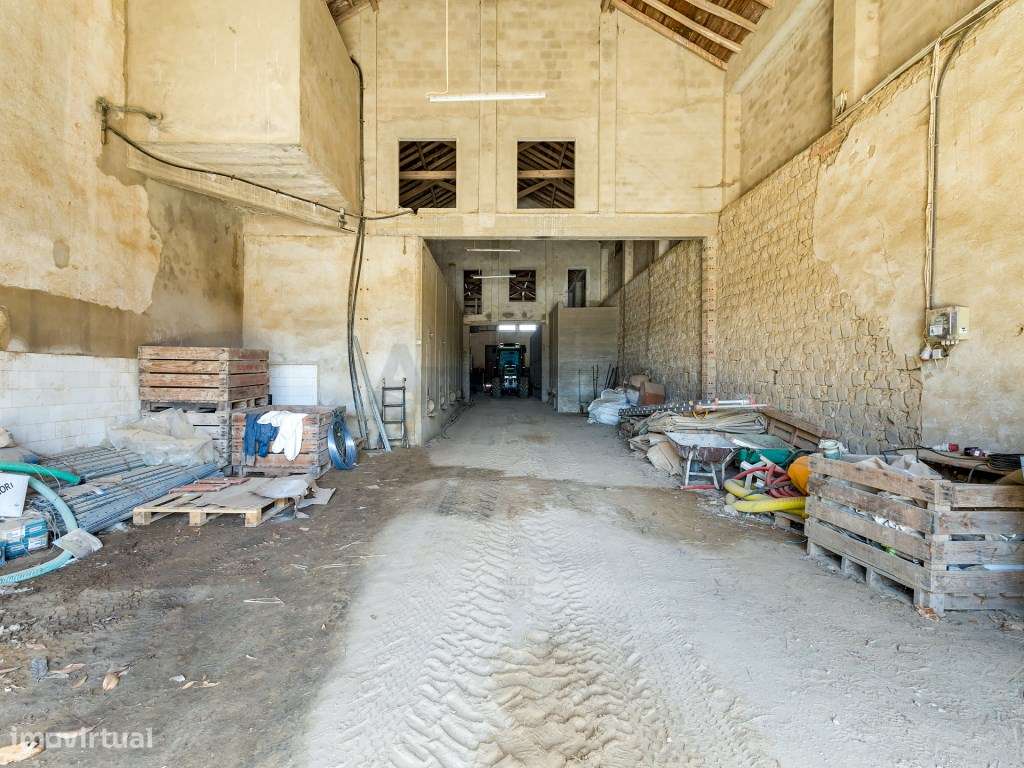 Quinta em Pleno Coração de Torres Vedras-23