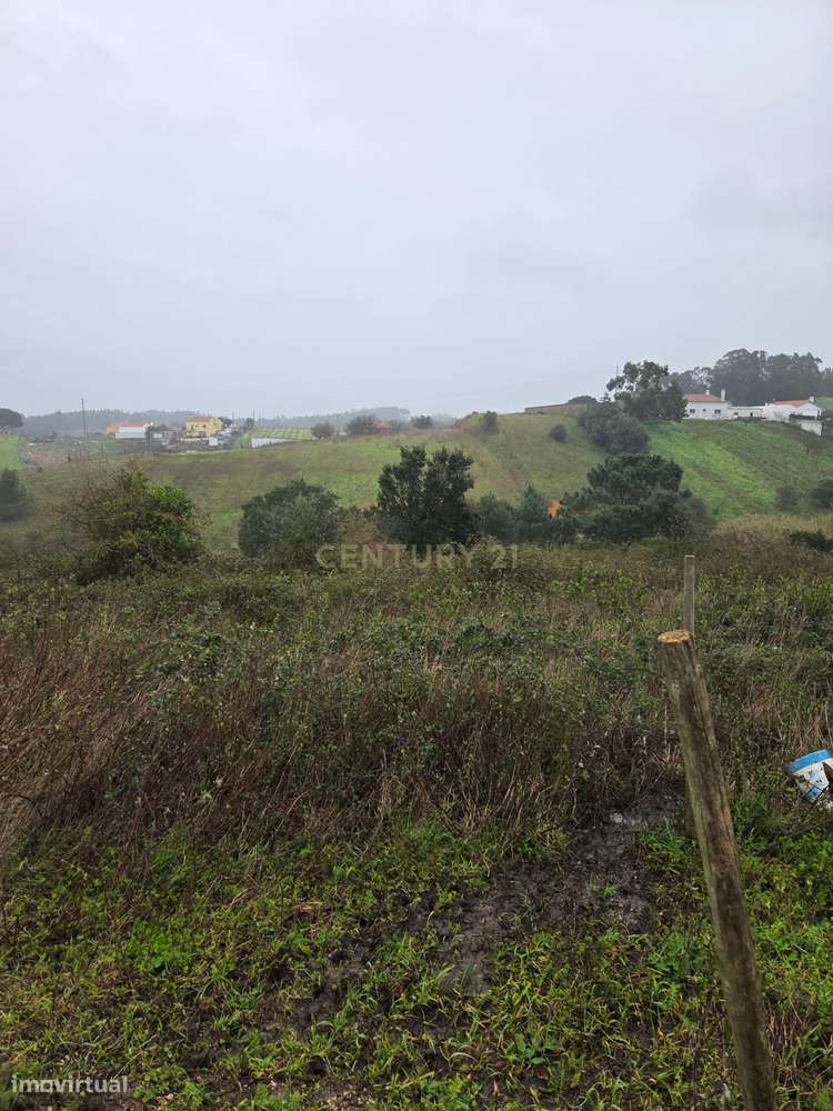 Terreno Rústico em Olhalvo, Alenquer - Oportunidade Única - Grande imagem: 3/23