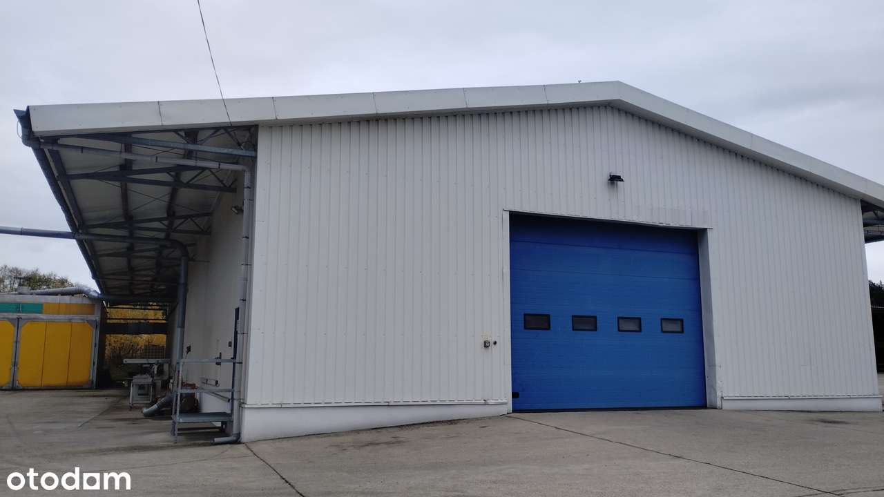 Wynajmę lub sprzedam halę - Pełny obrazek: 5/13