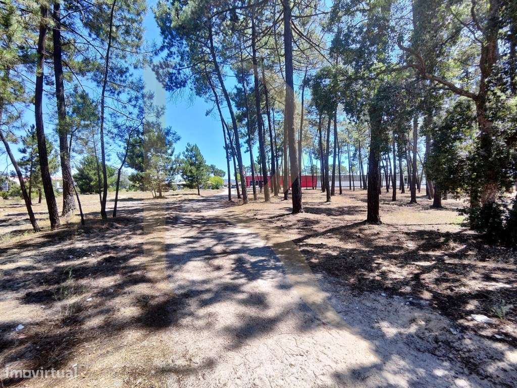 Venda conjunta de 105 lotes de terreno na Urbanização Pinhal de Neg...-6