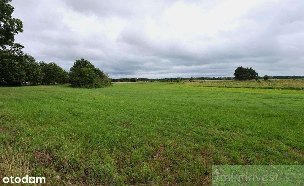 Działka rolna 4,86 ha Żarnowo-8
