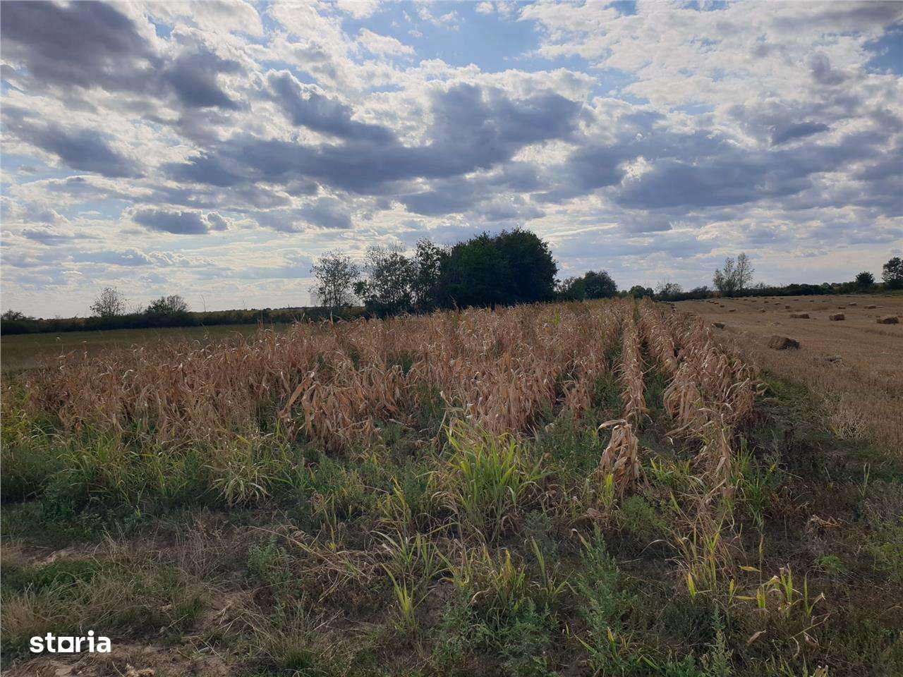 Teren extravilan in Santion - Imagine principală: 2/3