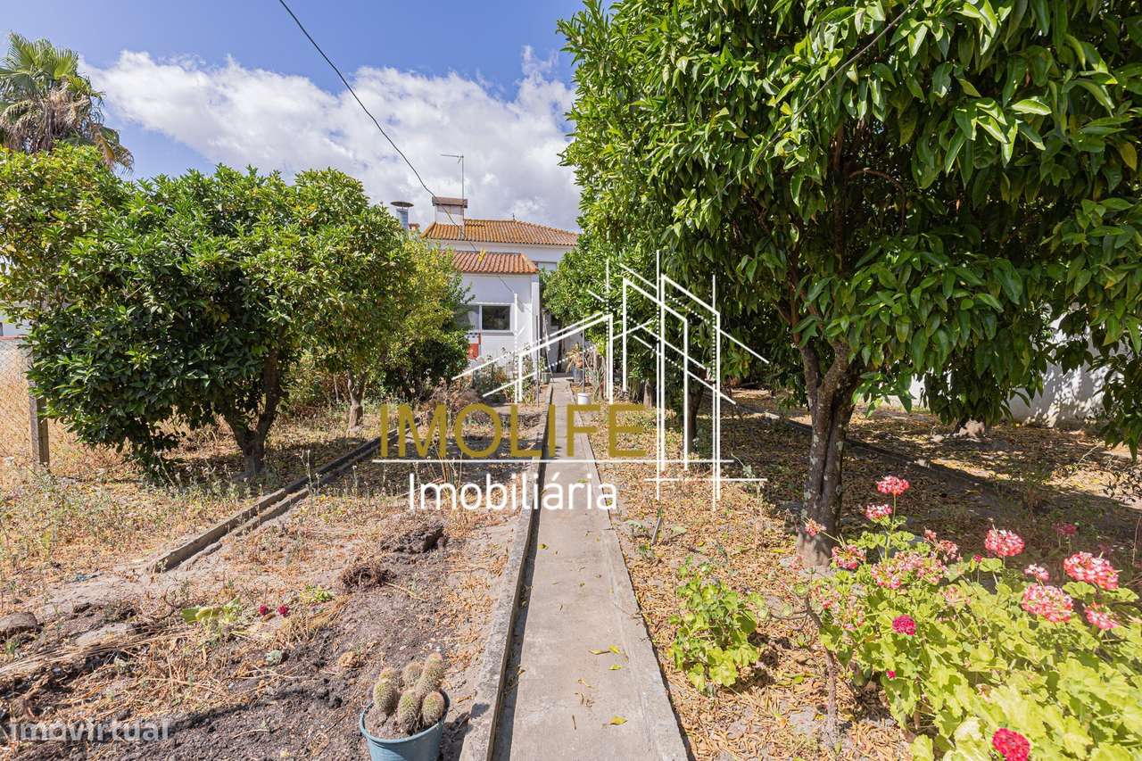 Moradia T3 com quintal em Cabeção - Grande imagem: 4/60