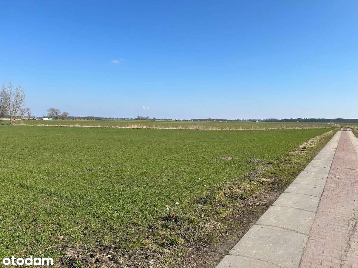 Działka budowlana 944 m2 woda, prąd, gaz - Pełny obrazek: 4/10