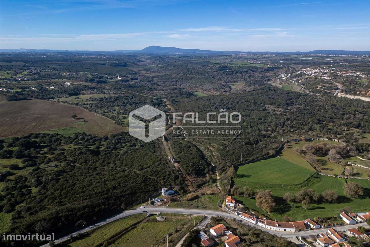 Terreno  Venda em Almoster,Santarém - Grande imagem: 2/29