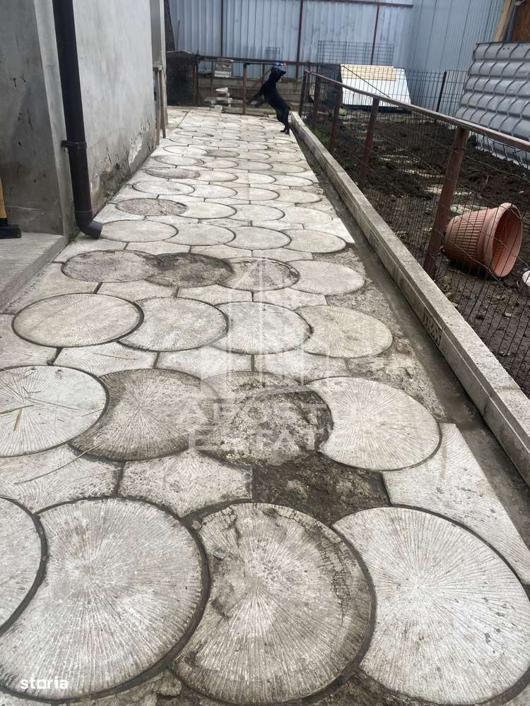 Casa unifamiliala în Timișoara,cu spațiul comercial - Imagine principală: 5/20