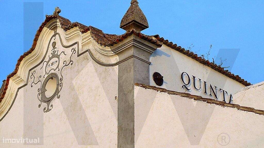 Terreno rústico situado na Serra das Necessidades - Azeitão - Grande imagem: 4/5