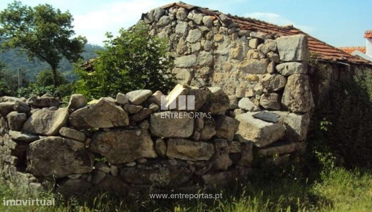 Venda Moradia, Santiago de Piães, Cinfães - Grande imagem: 5/6