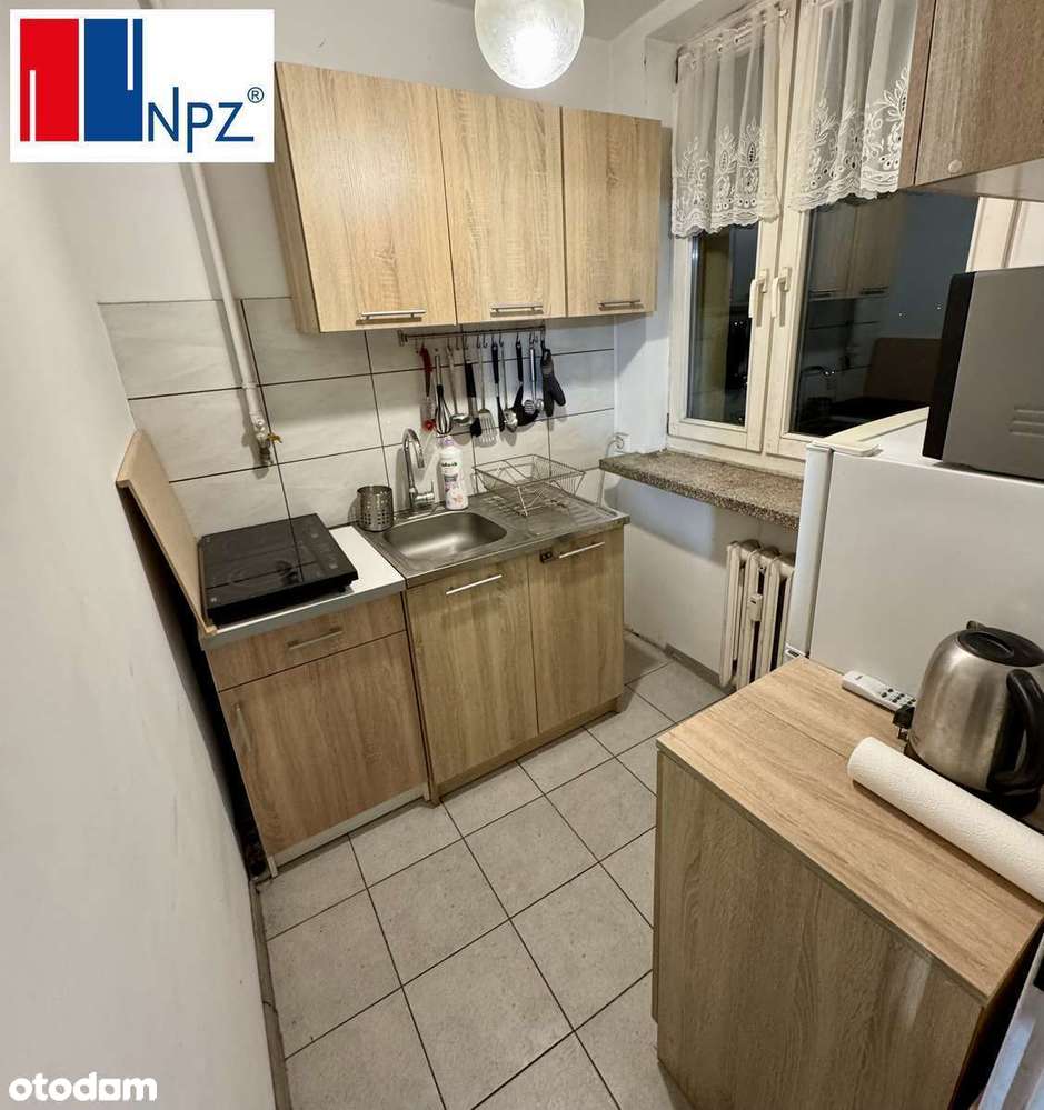 Rekreacja, Staw Hubertus, Stawiki, PLAŻA, blisko Sosnowiec, Mysłowice - Pełny obrazek: 2/6