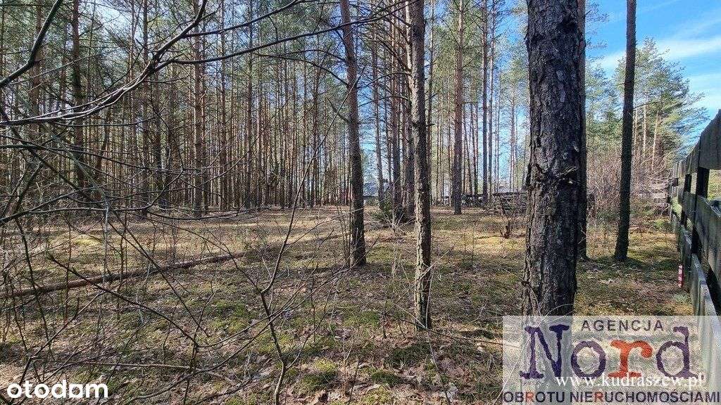 Działka ze stawem - Pełny obrazek: 5/13