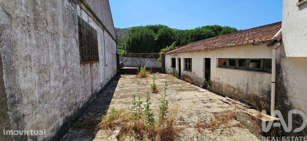 Loja / Estabelecimento Comercial em Minde de 1244,00 m2 - Grande imagem: 5/18