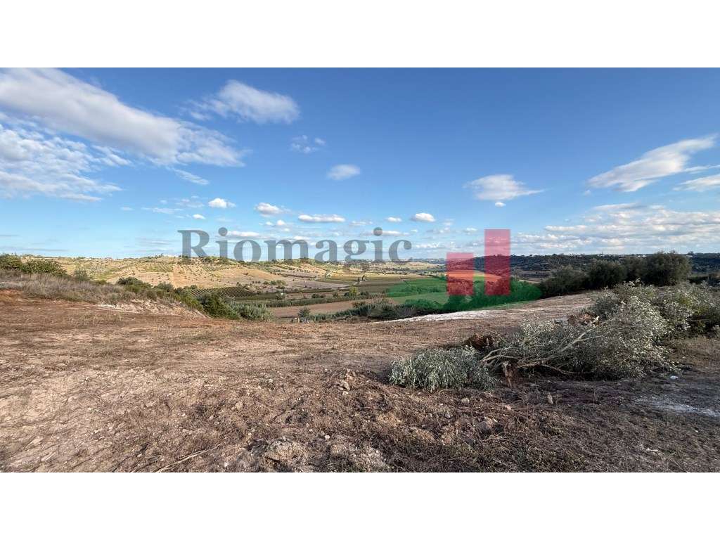 Terreno Azambujeira***RIOMAGIC*** - Grande imagem: 4/12