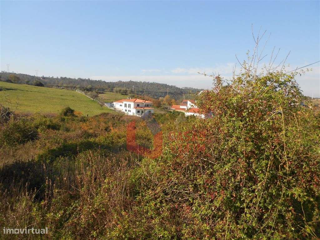 - BAIXA DE PREÇO - Terreno de cultura com 4 artigos com 1110m2 no t... - Grande imagem: 4/4