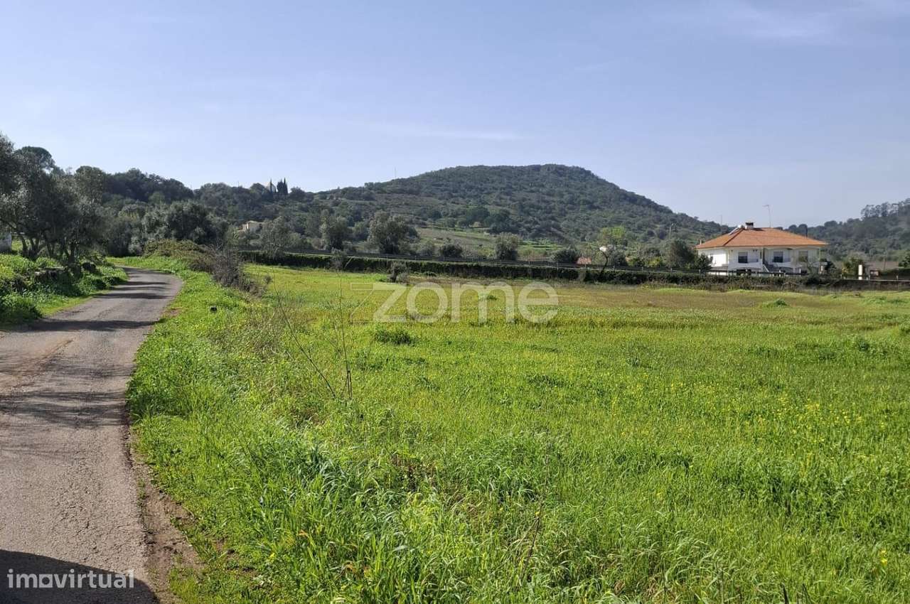 Terreno Rústico plano em Amorosa com 8.840m2 - Grande imagem: 3/6