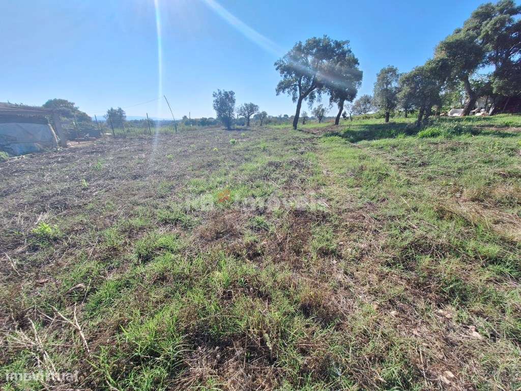 Terreno rústico com PDM - Casal dos Tomazes, Tomar - Grande imagem: 4/4