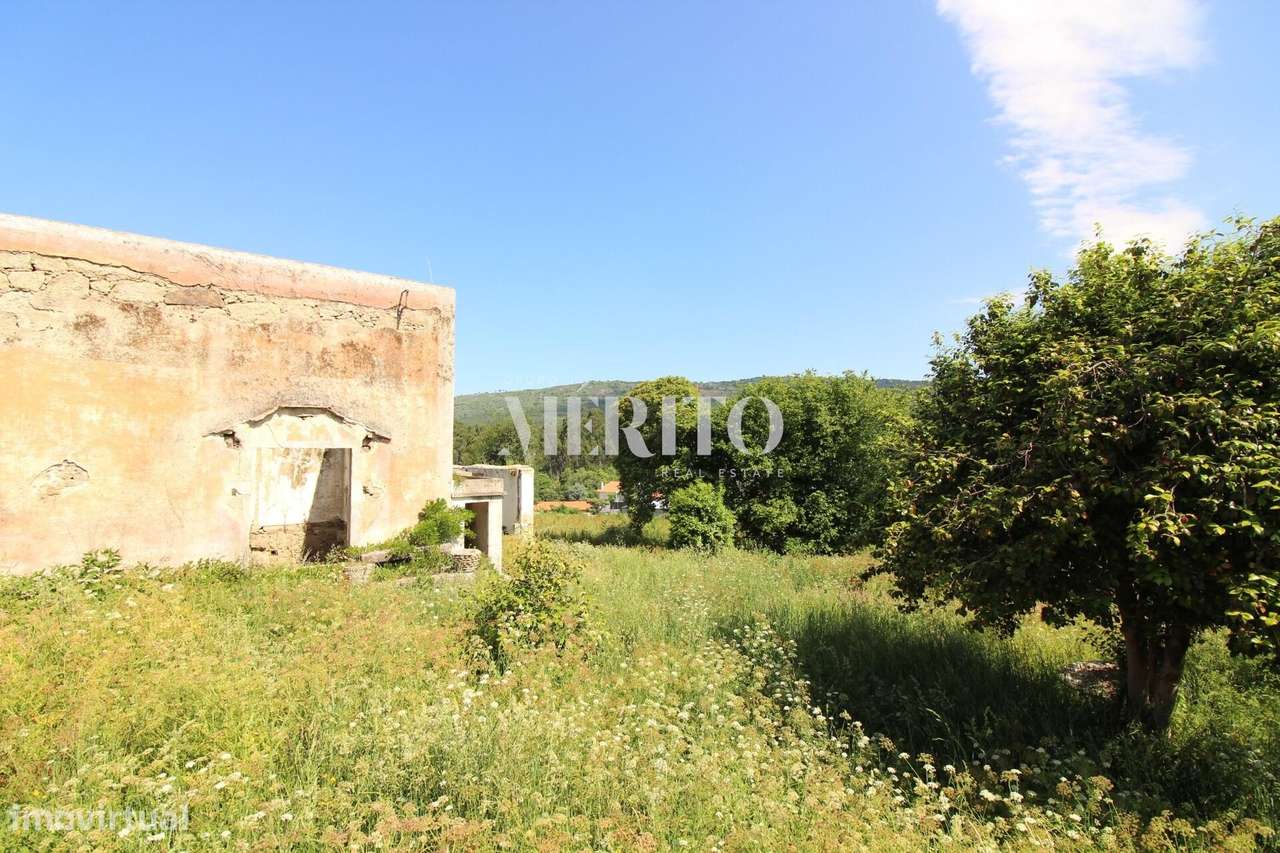 Terreno com Ruína - Grande imagem: 5/15