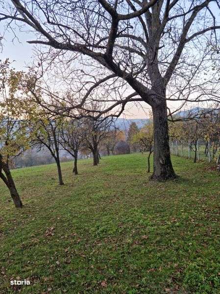 Casa din lemn + teren intravilan si extravilan - Imagine principală: 4/8