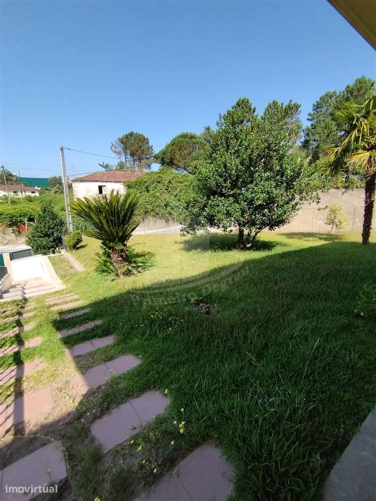 Ótima oportunidade de investimento com grande potencial - Grande imagem: 2/54