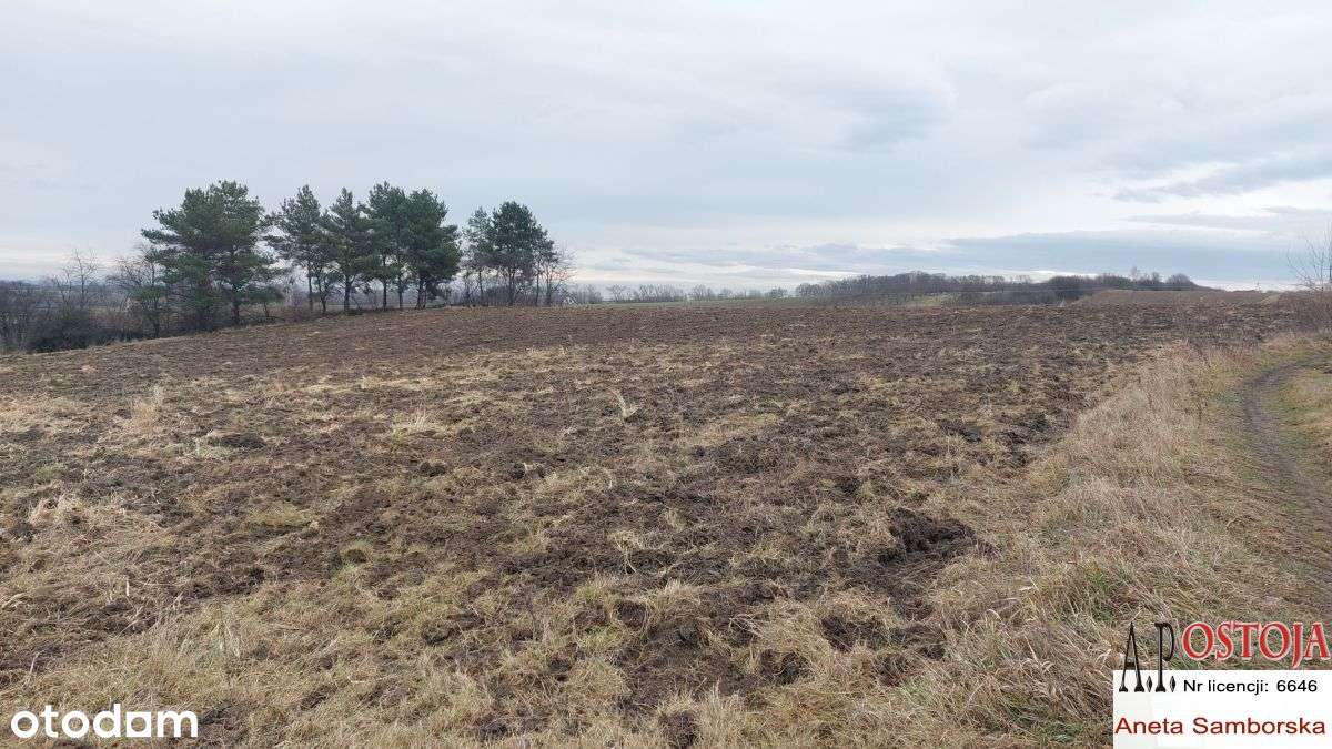 Działka budowlano-rolna pod zabudowę!-6
