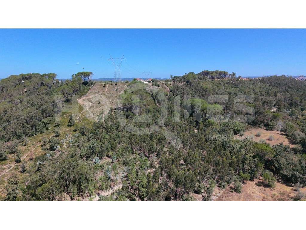 Terreno Agrícola com Estufas Preparadas para Produção em Hidroponia...-13