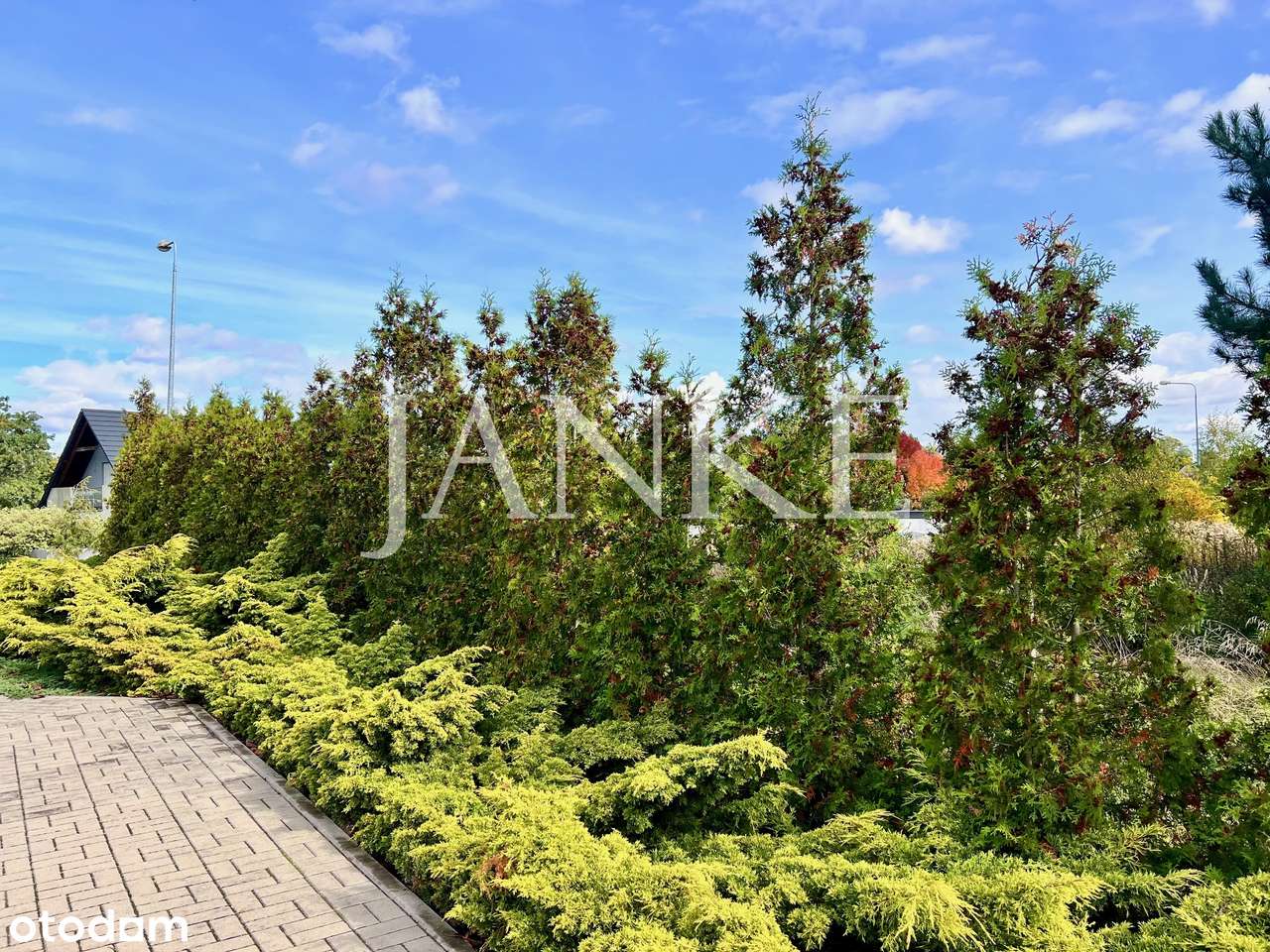 budowlana * media przy działce * asfalt * 500m2-1