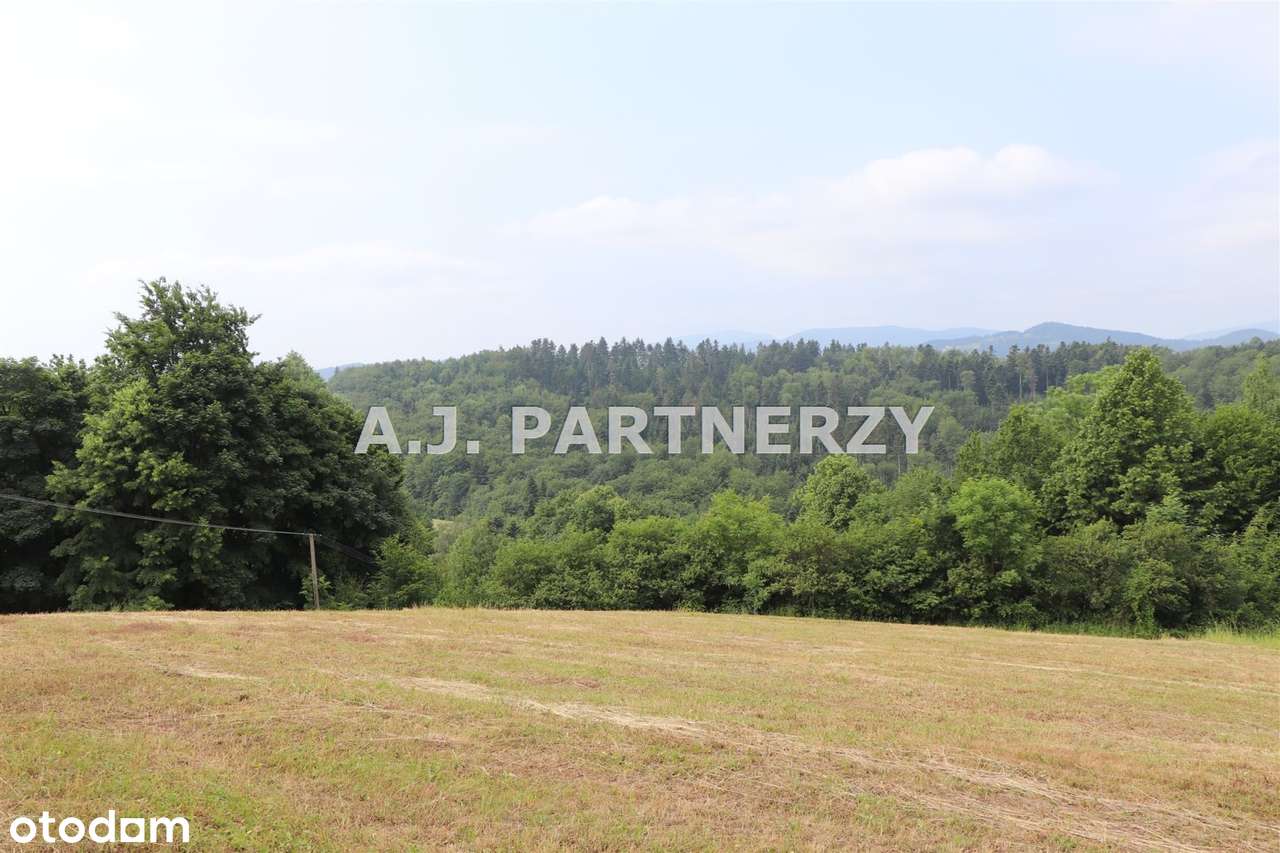 Działka w otoczeniu lasu z widokiem na góry-11