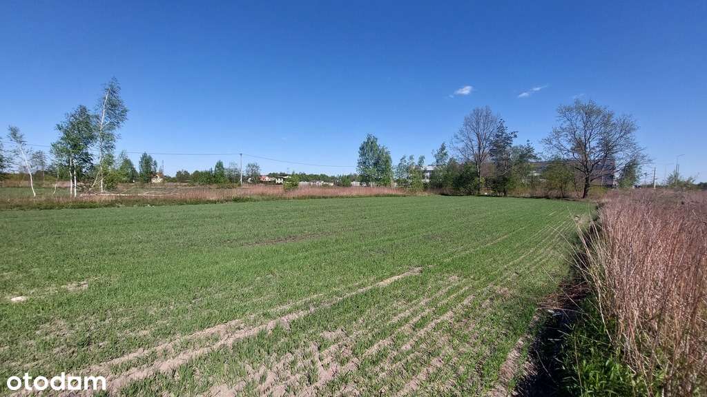 ✅Sprawdź >>> Działka inwestycyjna - Najem -1,1Ha ✅ - Pełny obrazek: 2/9