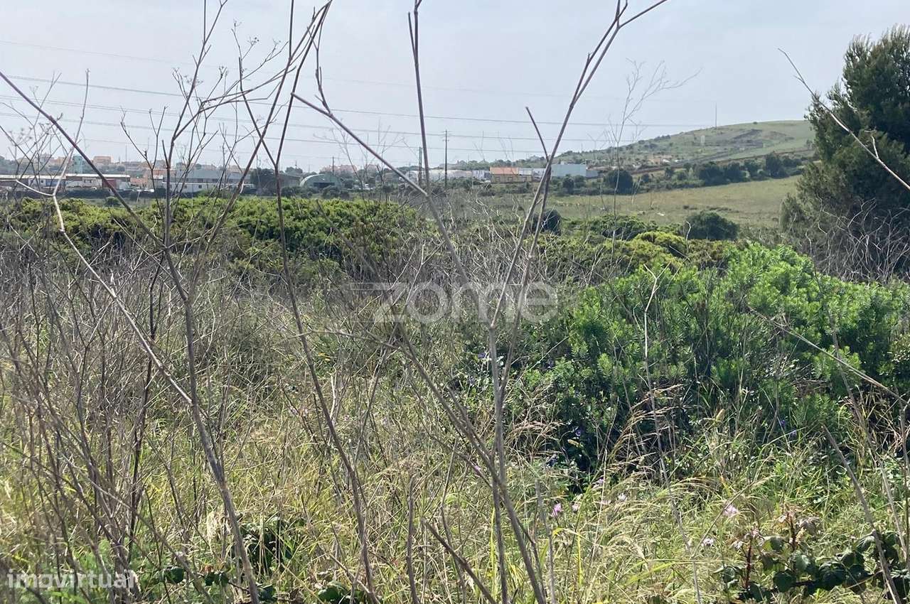 Terreno Industrial Cabra Figa - Grande imagem: 5/18