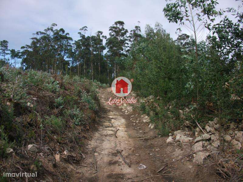 Terreno Florestal de 9.980m2 em Canidelo, Vila do Conde - Grande imagem: 4/5