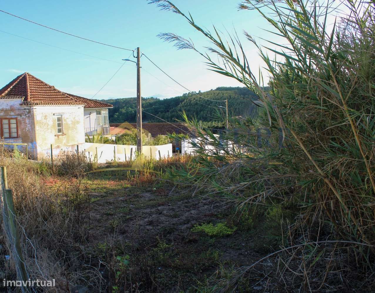 Terreno  Venda em Bombarral e Vale Covo,Bombarral-20