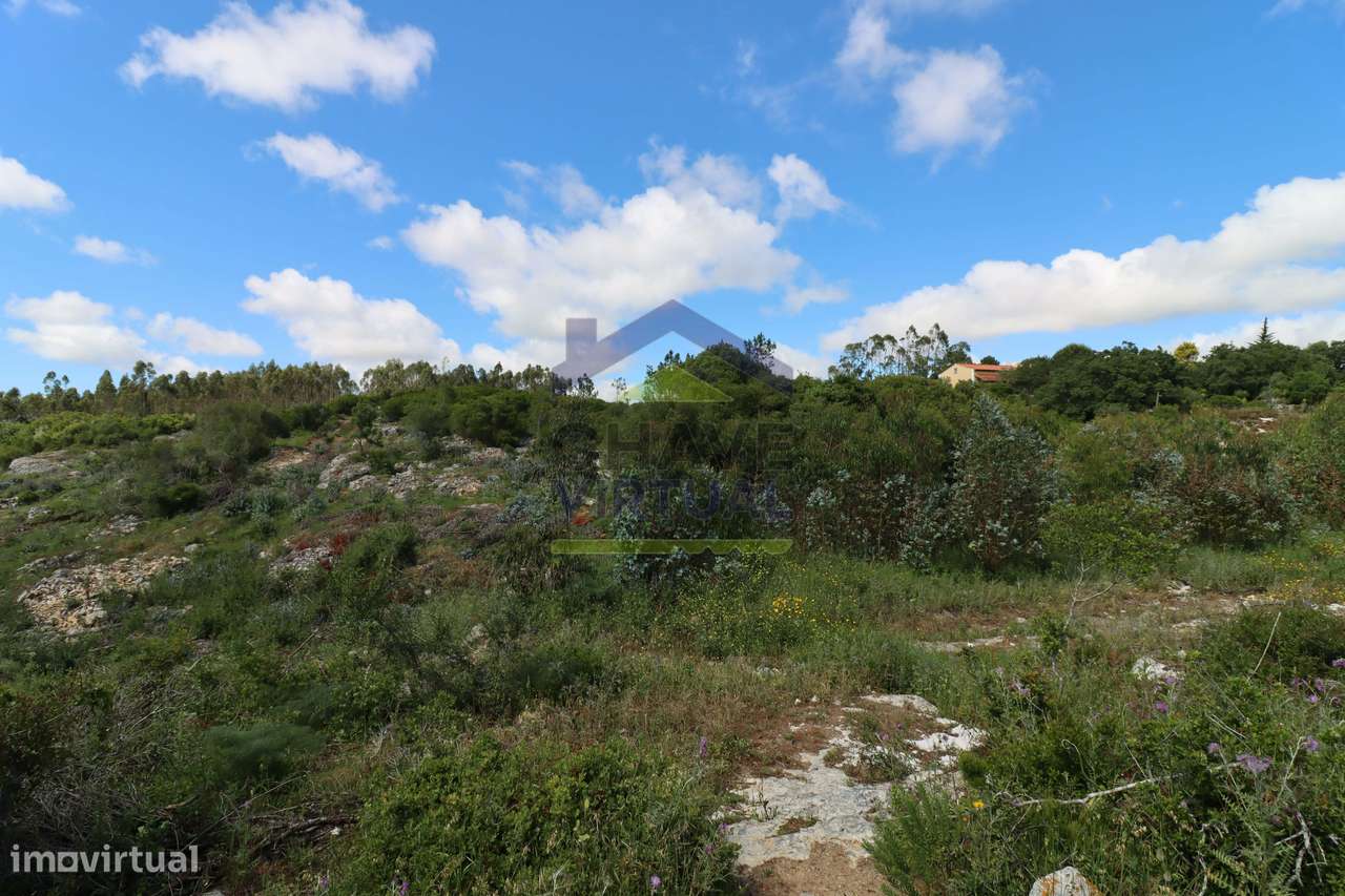 Terreno Rústico c/ 16.520 m2 Reguengo Pequeno - Lourinhã-21