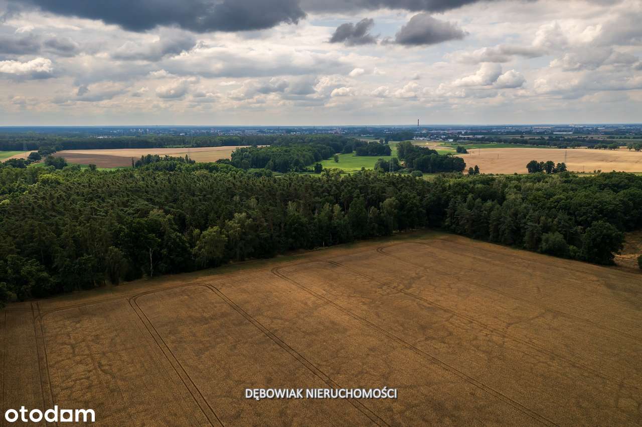 II etap sprzedaży / Atrakcyjne nowe osiedle w Gronówku / blisko Leszna-7