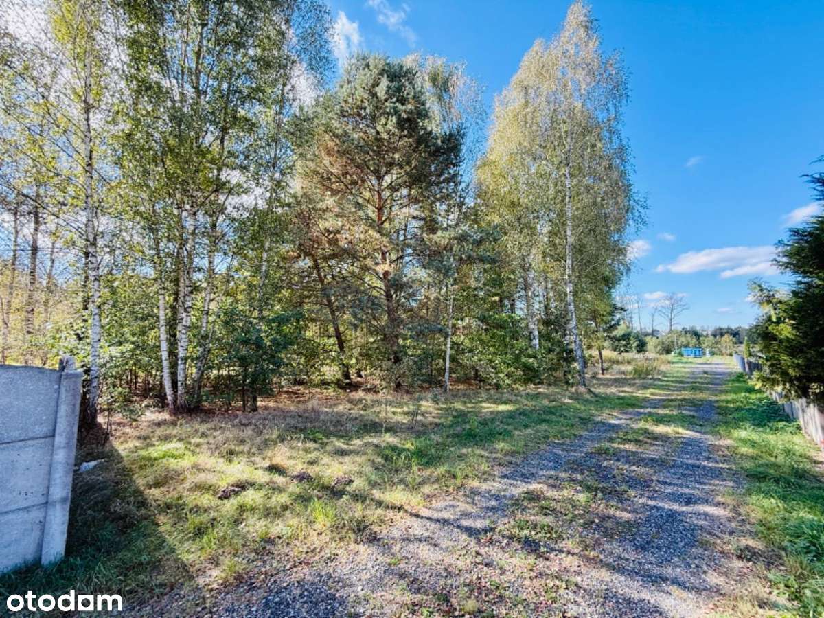 Malownicza Działka 7100m2!, Gmina Miedziana Góra - Pełny obrazek: 4/7