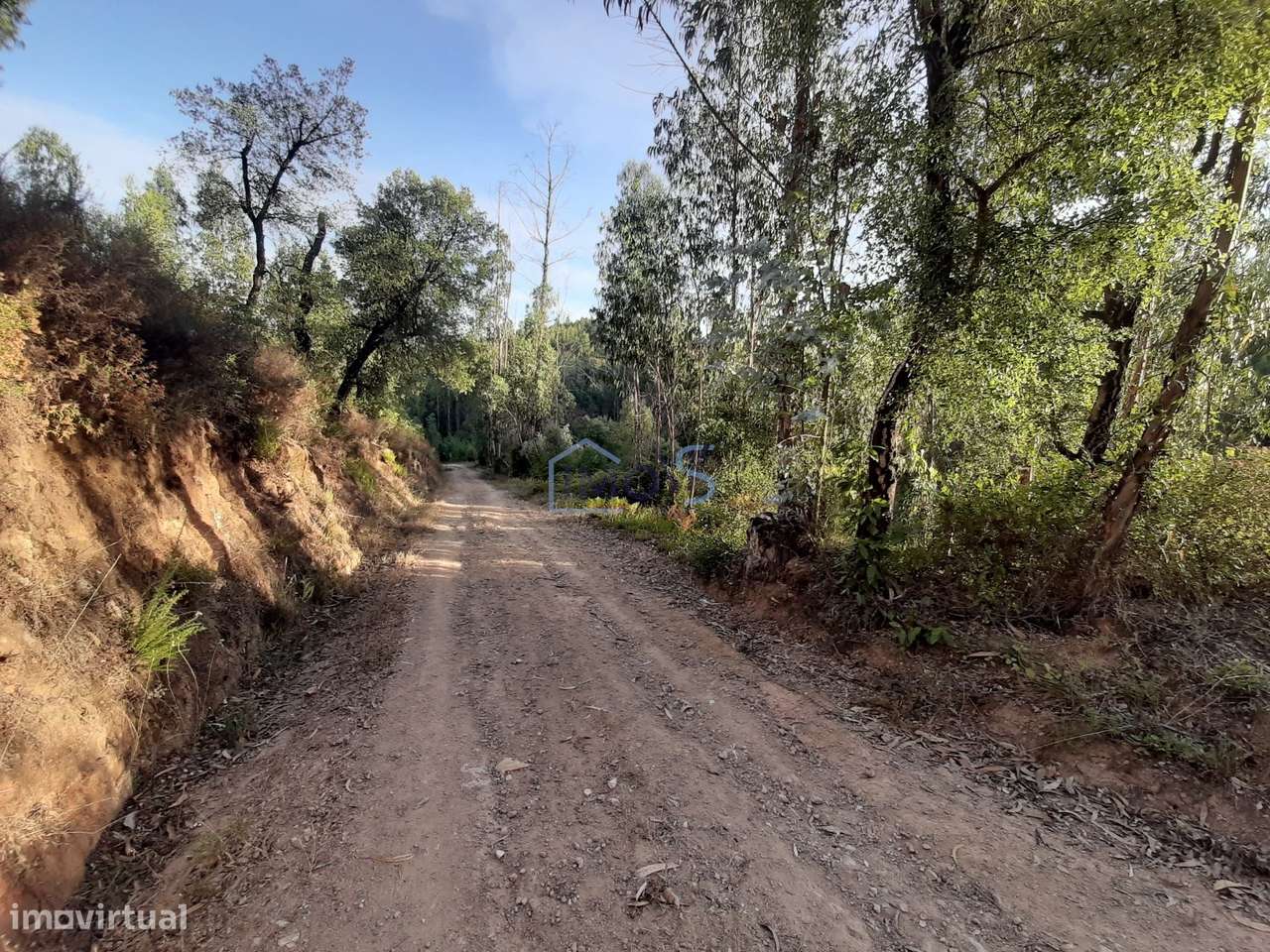 Terreno com Projeto Aprovado para Moradia em Besteiras – Águas Belas-30